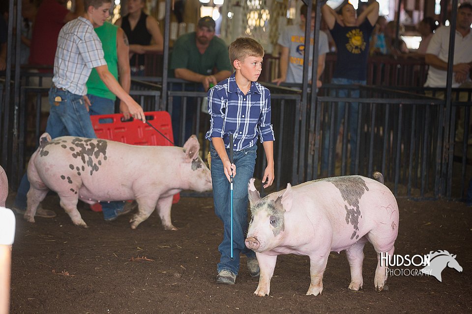 LCFAIR15-2227.jpg