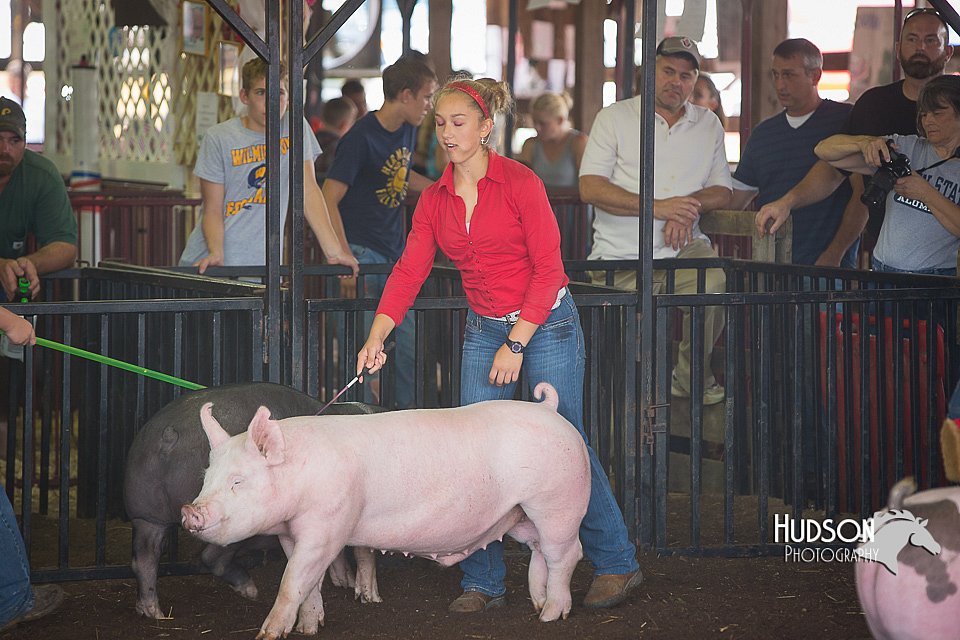 LCFAIR15-2230.jpg