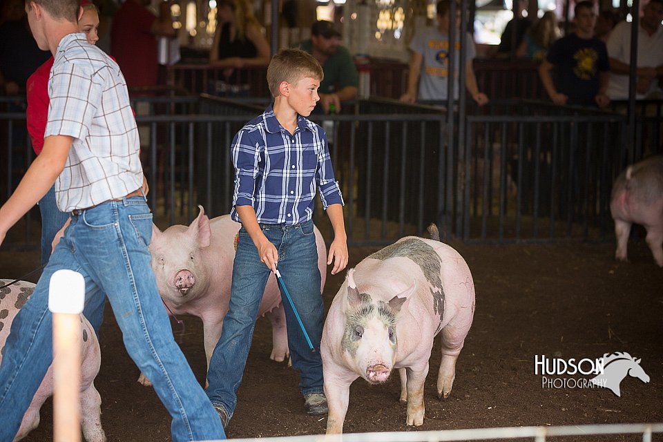 LCFAIR15-2231.jpg