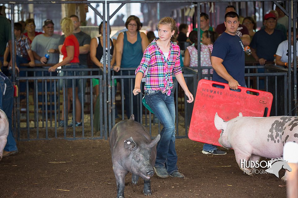 LCFAIR15-2234.jpg