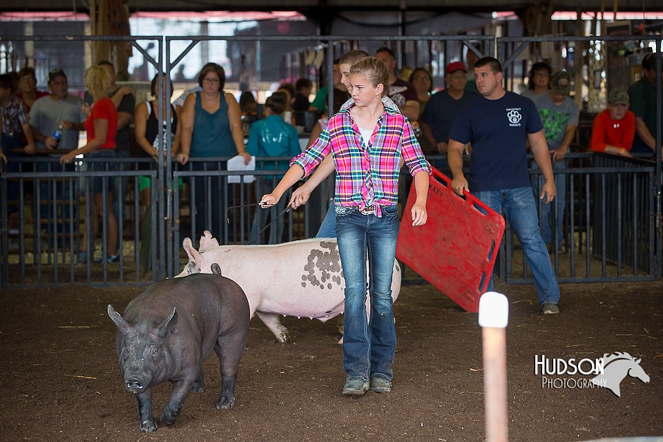 LCFAIR15-2235.jpg