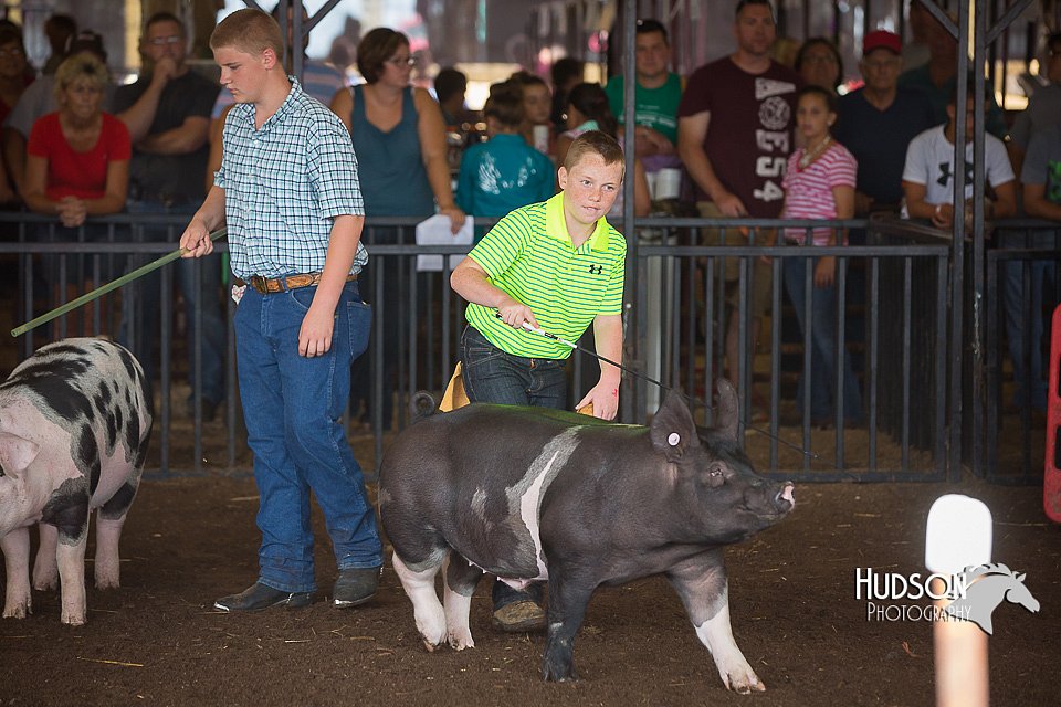 LCFAIR15-2236.jpg