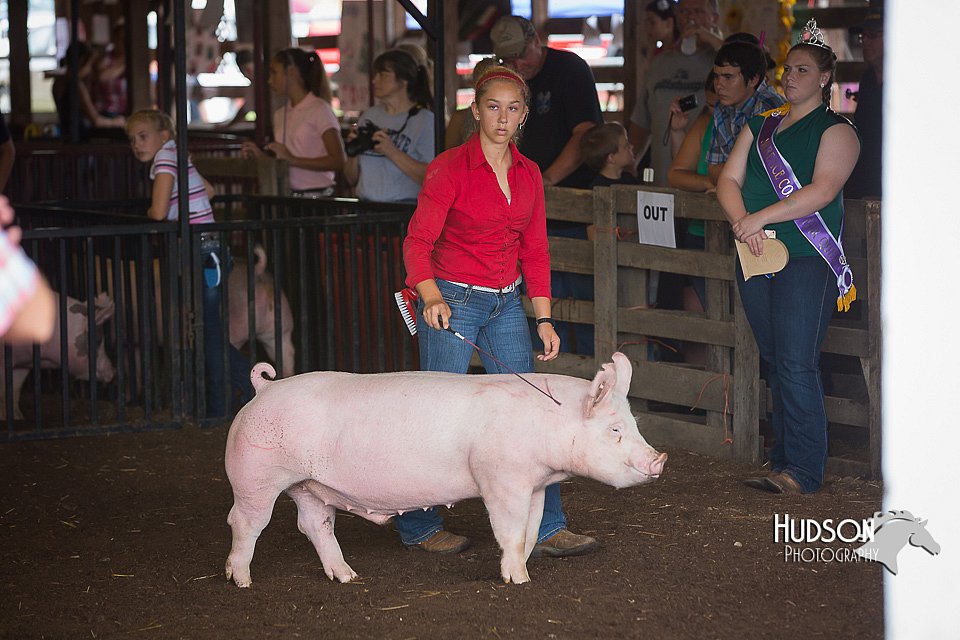LCFAIR15-2237.jpg