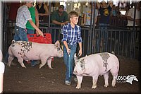 LCFAIR15-2227.jpg