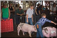 LCFAIR15-2228.jpg