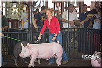 LCFAIR15-2230.jpg