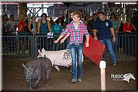 LCFAIR15-2235.jpg