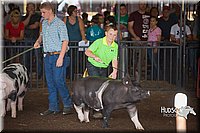 LCFAIR15-2236.jpg