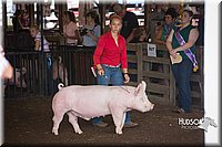 LCFAIR15-2237.jpg