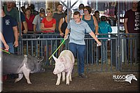 LCFAIR15-2239.jpg