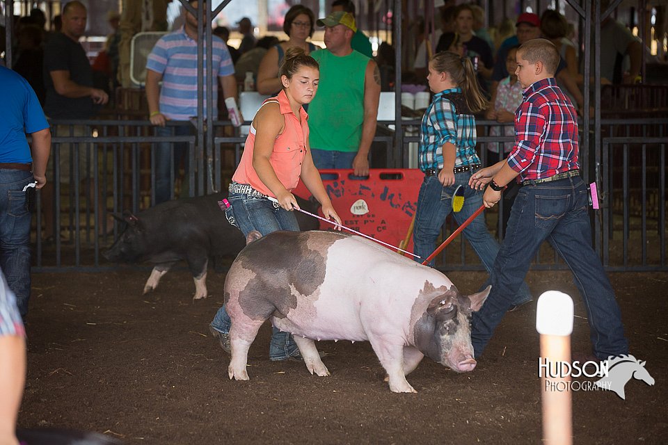 LCFAIR15-2244.jpg