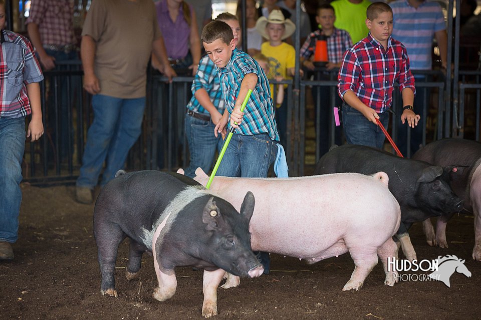 LCFAIR15-2249.jpg
