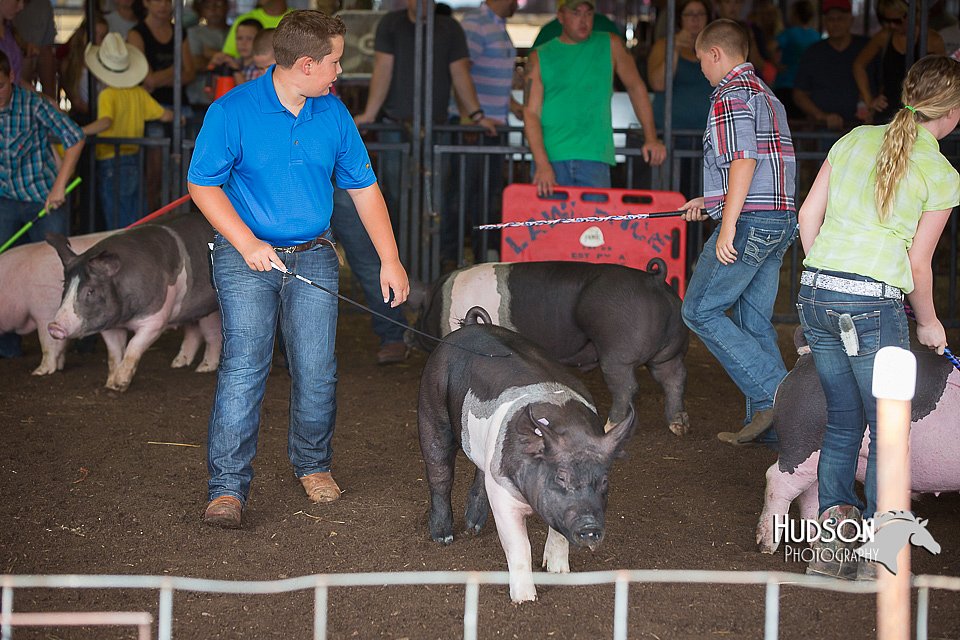LCFAIR15-2258.jpg