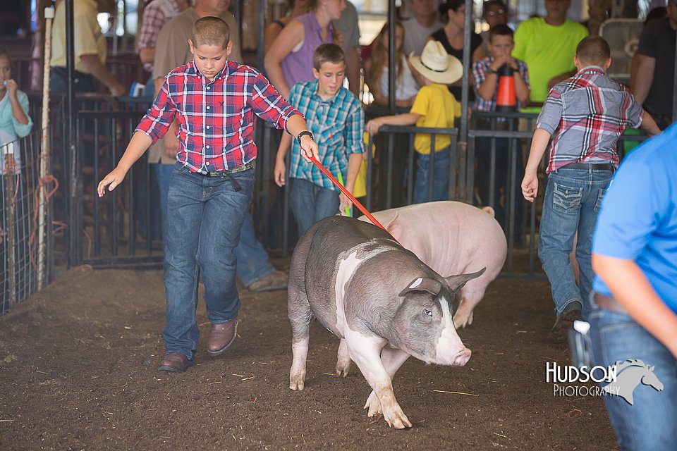 LCFAIR15-2259.jpg