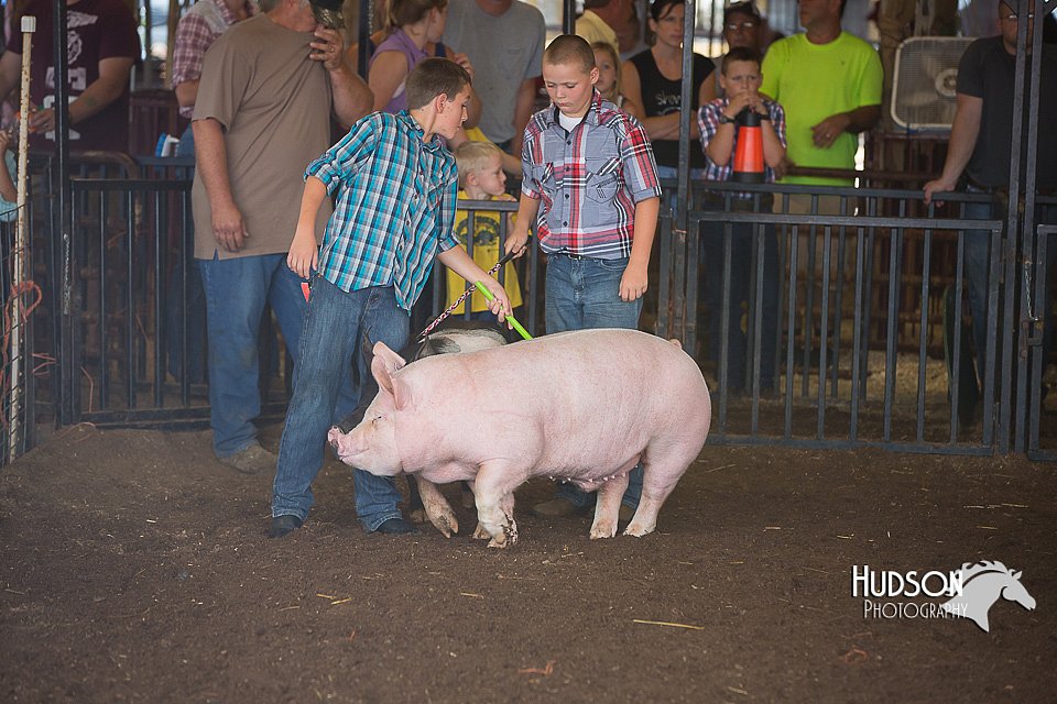 LCFAIR15-2260.jpg