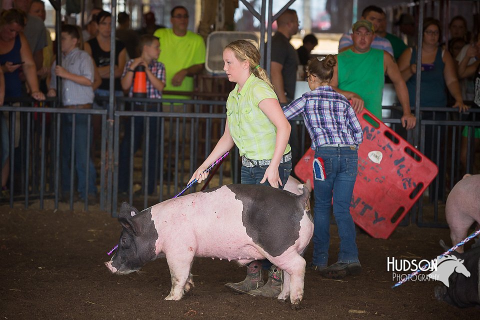 LCFAIR15-2261.jpg