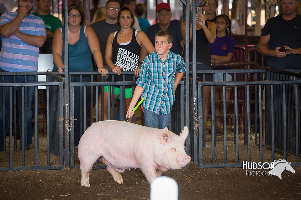 LCFAIR15-2264.jpg
