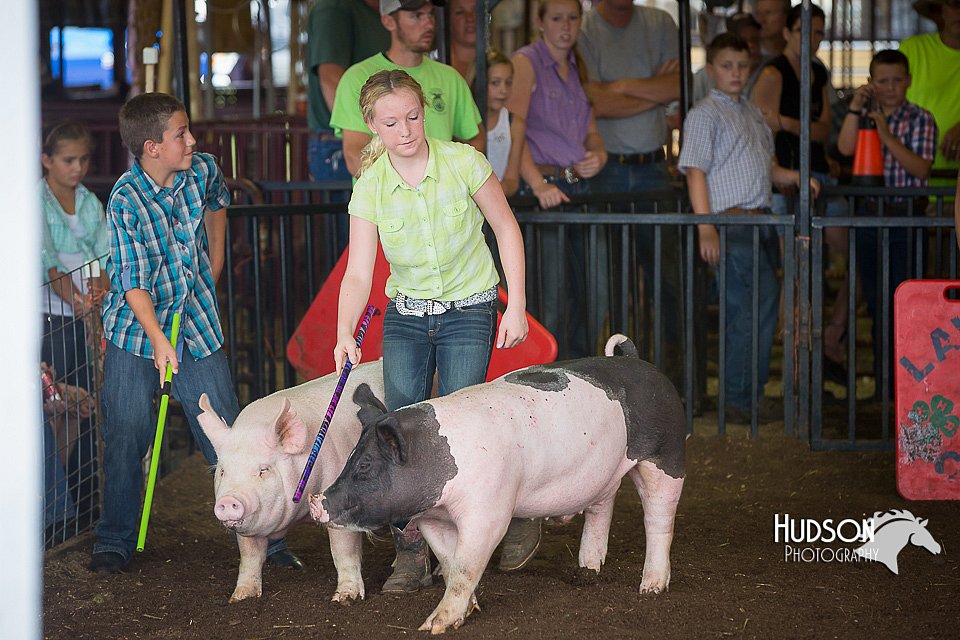 LCFAIR15-2268.jpg