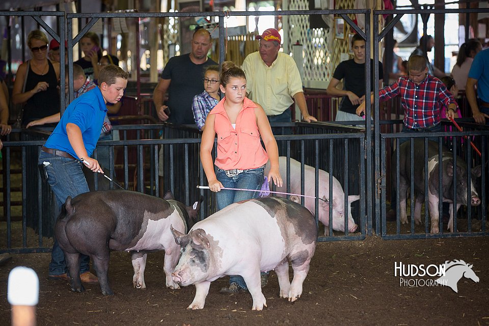 LCFAIR15-2269.jpg