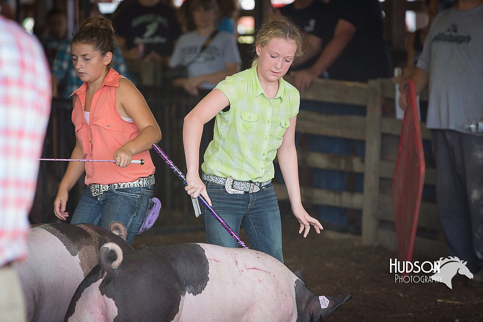 LCFAIR15-2273.jpg
