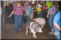 LCFAIR15-2259.jpg