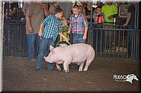 LCFAIR15-2260.jpg