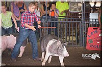 LCFAIR15-2262.jpg