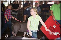 LCFAIR15-2263.jpg