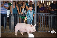 LCFAIR15-2264.jpg