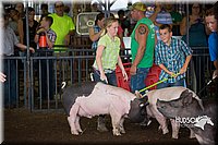LCFAIR15-2266.jpg