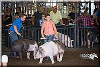 LCFAIR15-2269.jpg