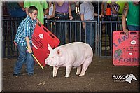 LCFAIR15-2270.jpg