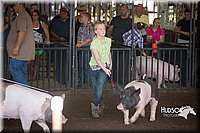 LCFAIR15-2271.jpg