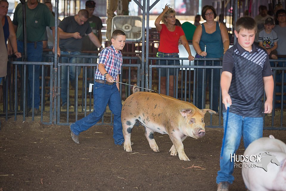 LCFAIR15-2279.jpg