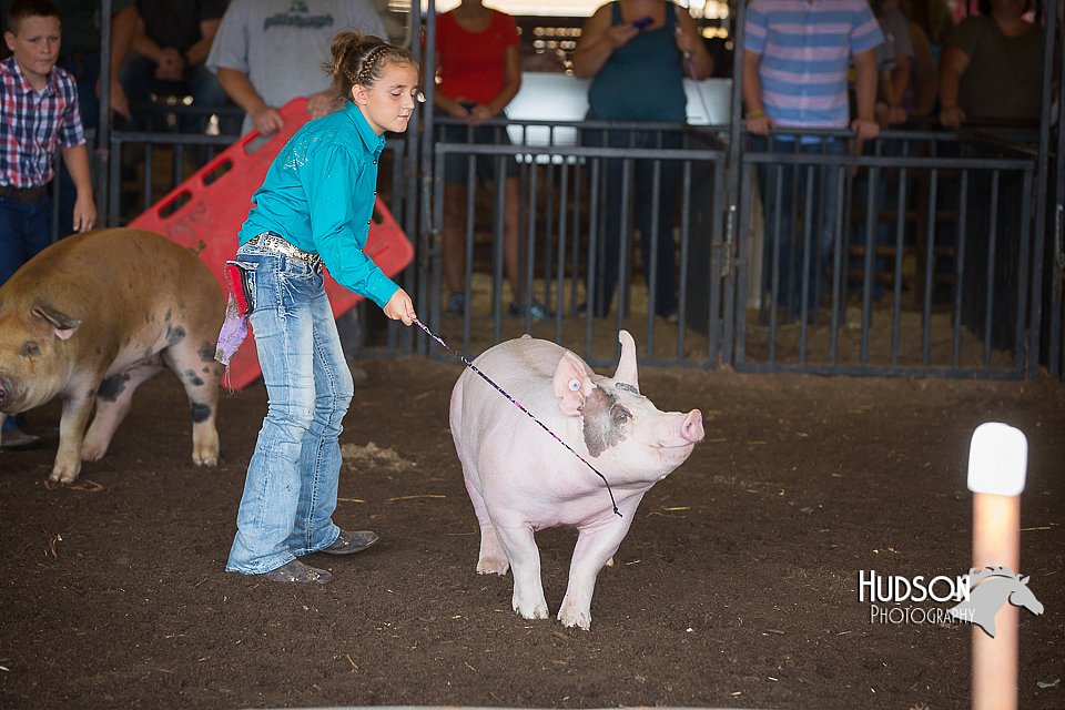 LCFAIR15-2285.jpg