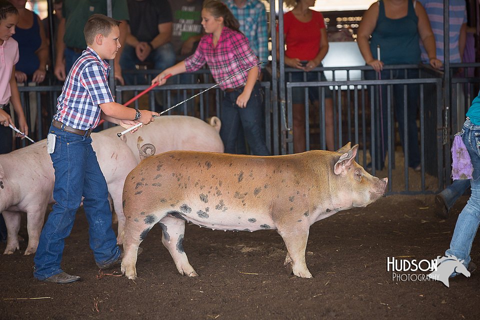 LCFAIR15-2289.jpg