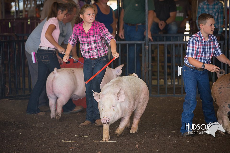 LCFAIR15-2290.jpg