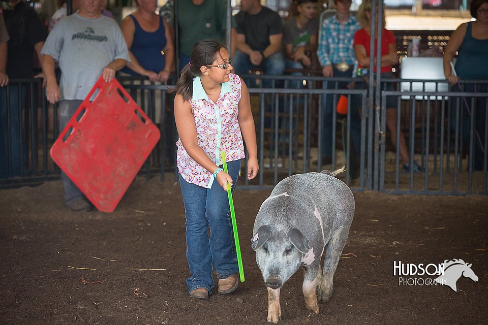 LCFAIR15-2293.jpg