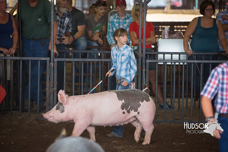LCFAIR15-2294.jpg
