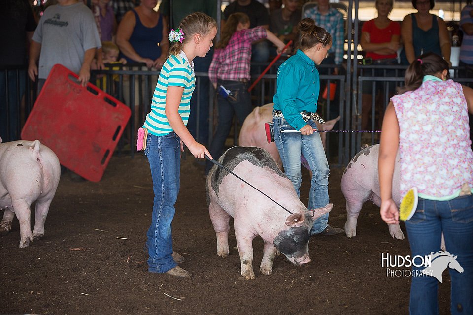 LCFAIR15-2296.jpg