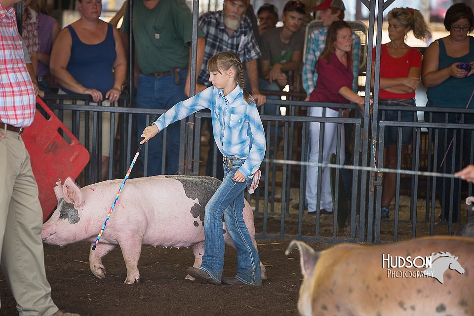 LCFAIR15-2299.jpg