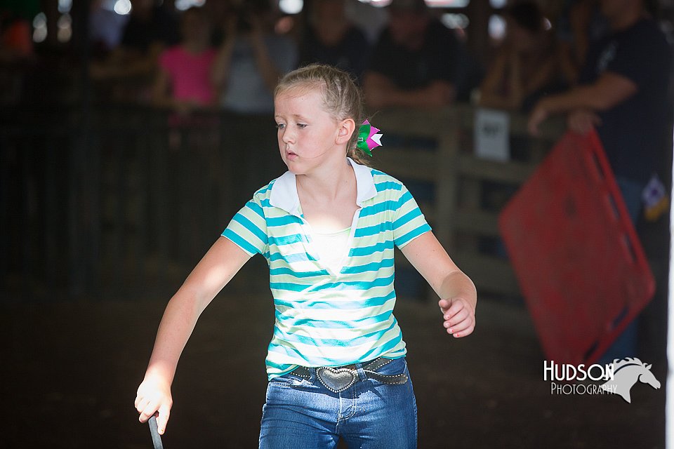 LCFAIR15-2300.jpg