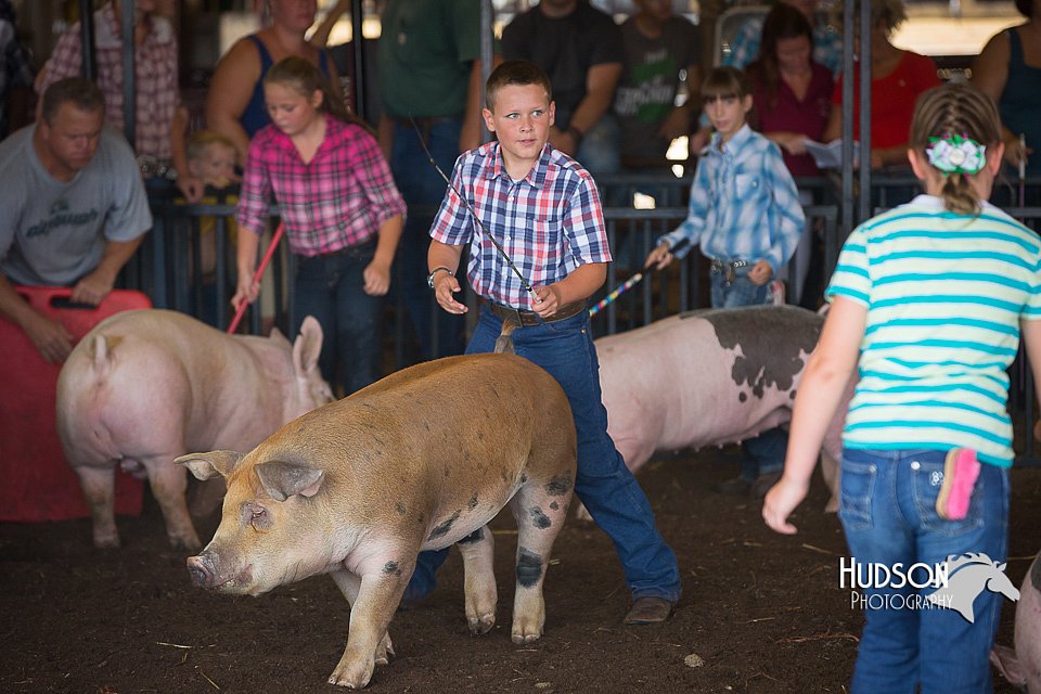 LCFAIR15-2301.jpg