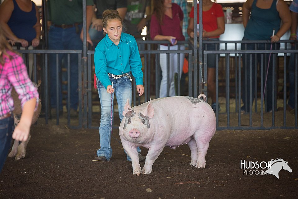 LCFAIR15-2302.jpg