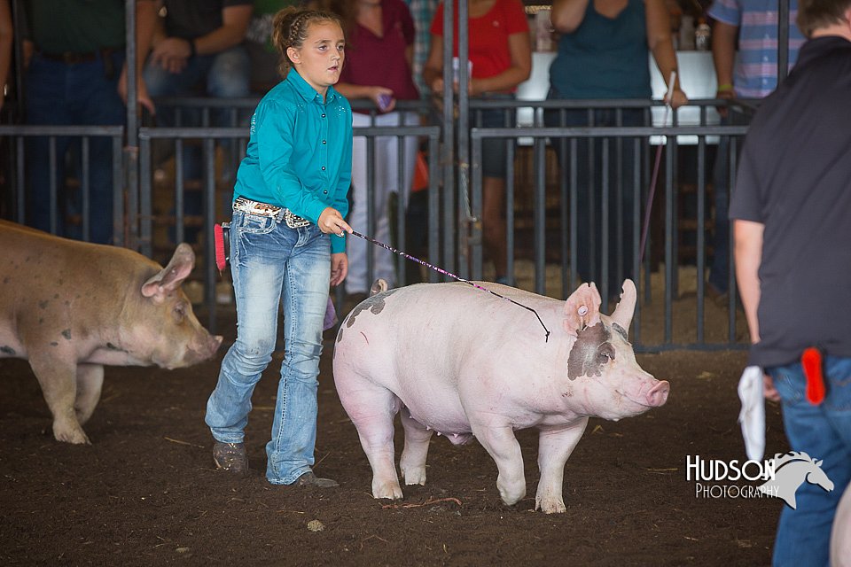 LCFAIR15-2303.jpg