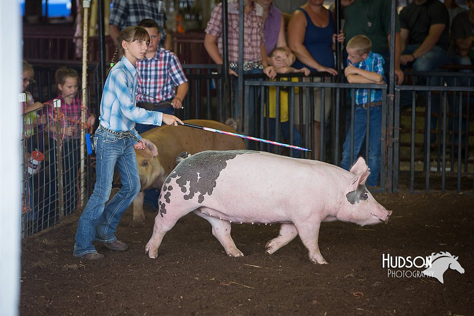 LCFAIR15-2308.jpg