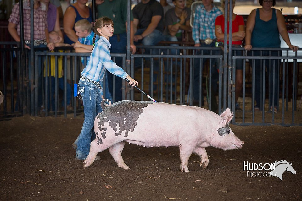 LCFAIR15-2309.jpg