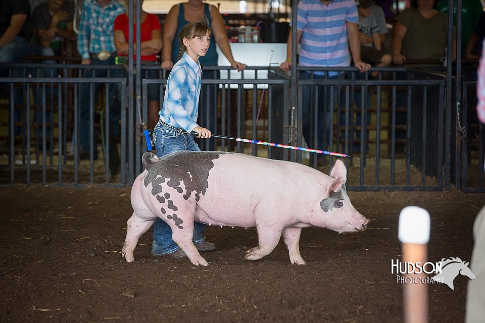 LCFAIR15-2310.jpg