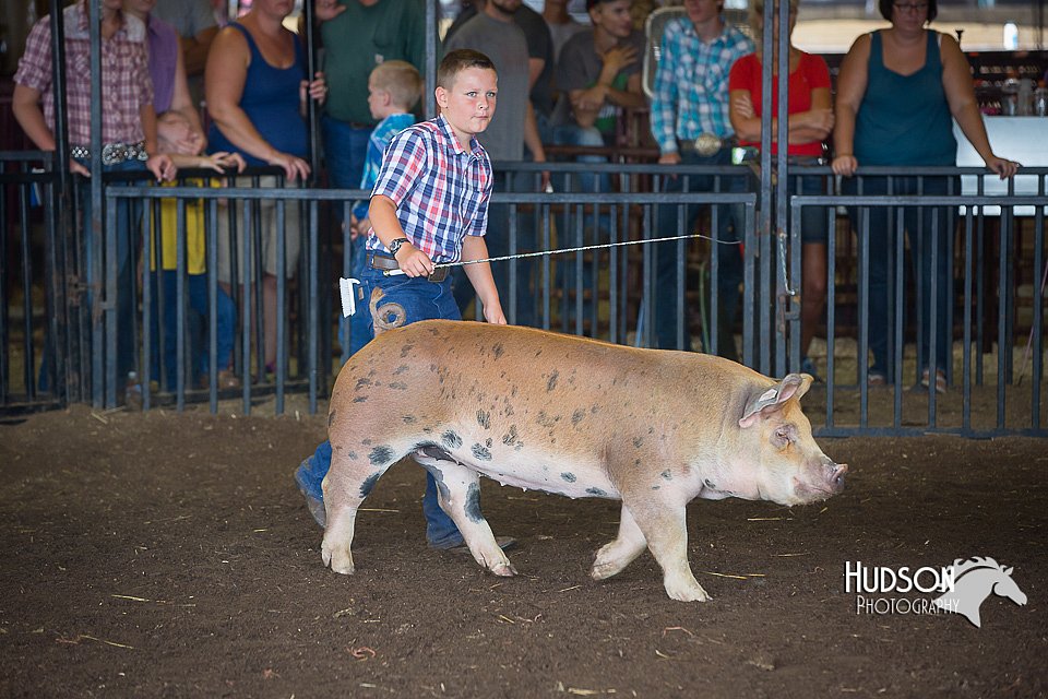 LCFAIR15-2311.jpg