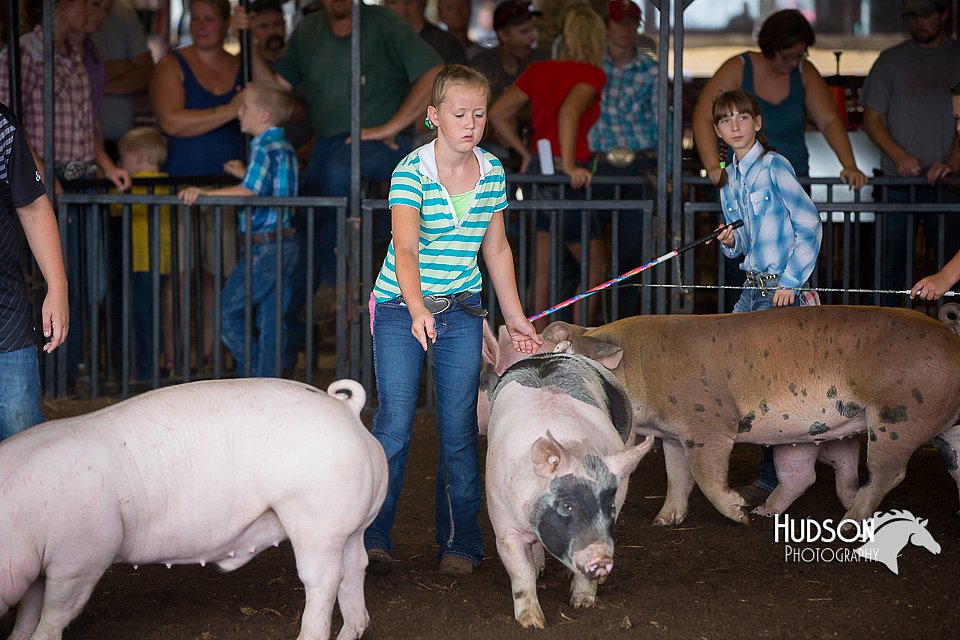 LCFAIR15-2313.jpg